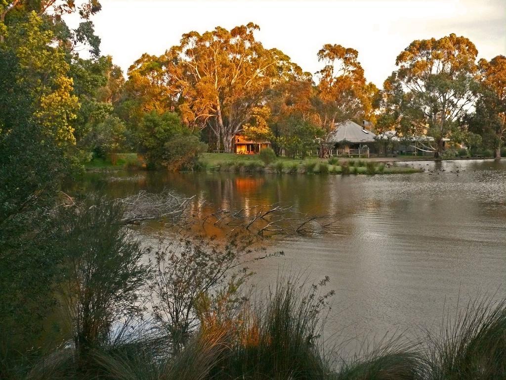 Villa The Burrow At Wombat Bend Dixons Creek Zimmer foto
