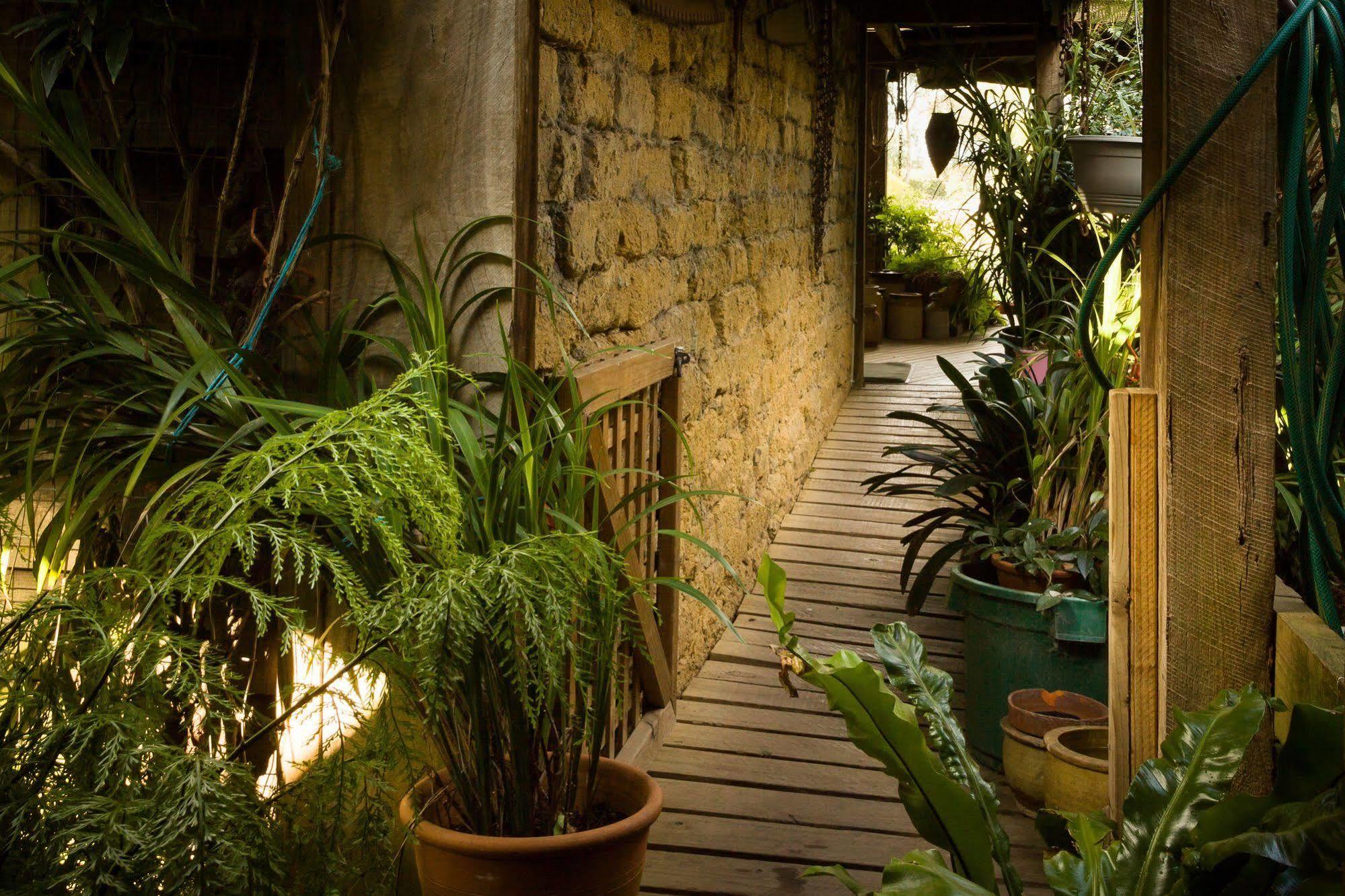 Villa The Burrow At Wombat Bend Dixons Creek Exterior foto
